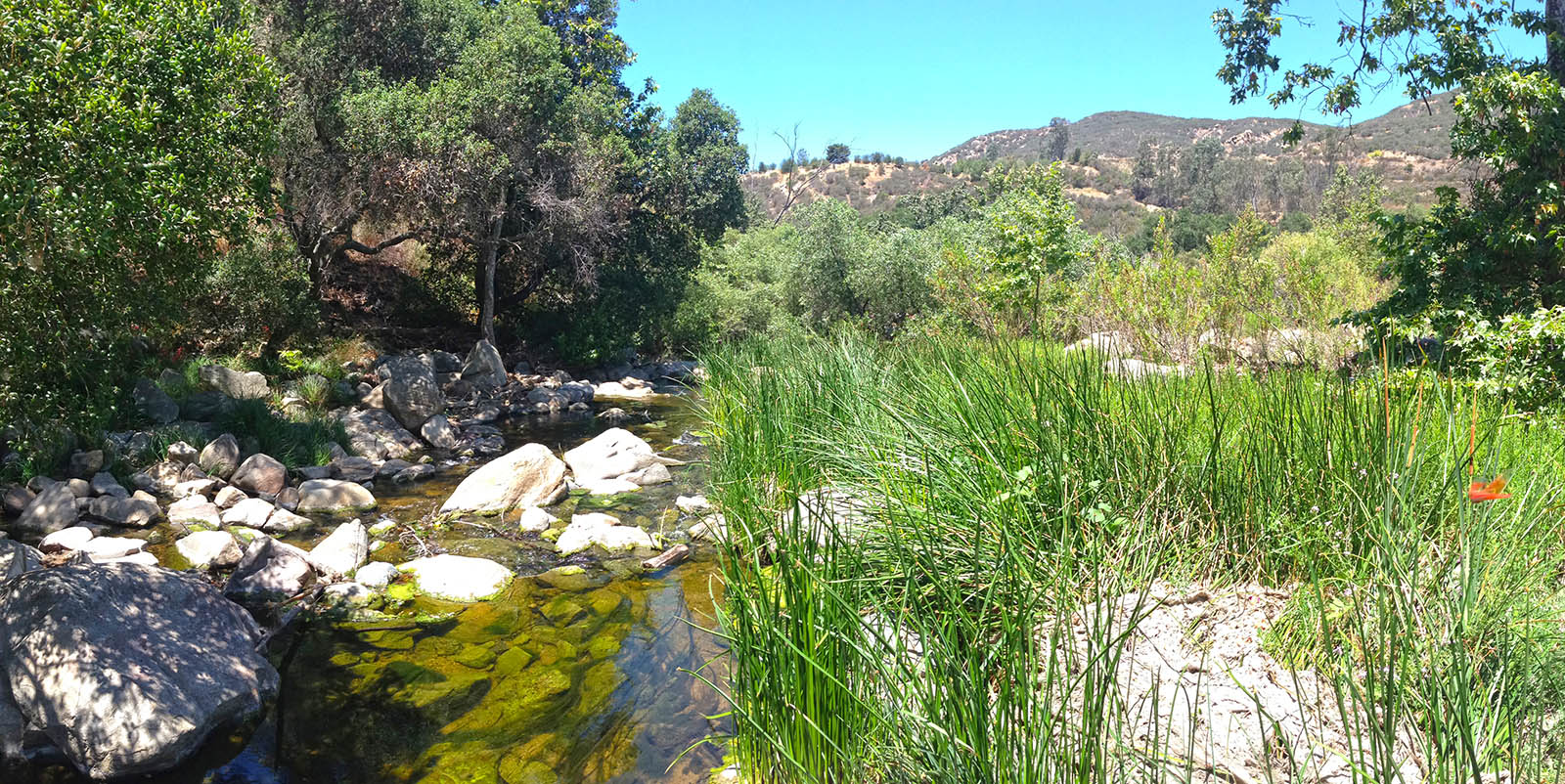 Easy San Diego Hikes