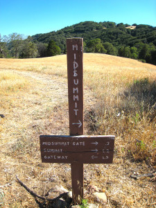 Merging back into the main trail, the mid summit sign