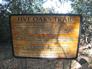 Sign explaining the Five Oaks Trail