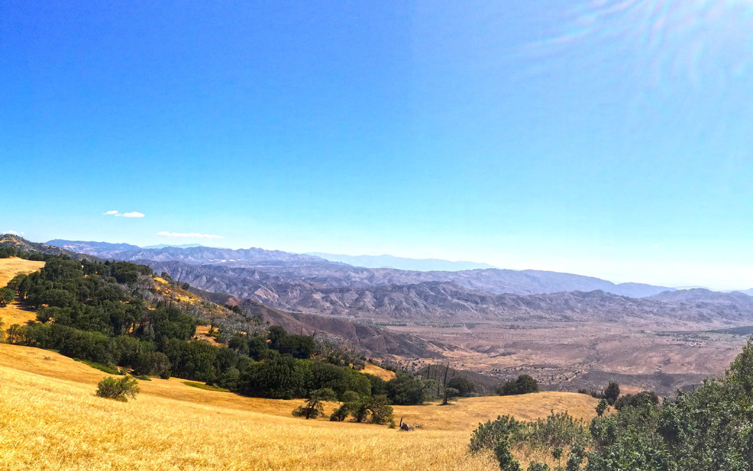 Hiking Volcan Mountain near Julian - I Hike San Diego