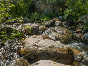 Water flowing in the one of the creeks on the way to Cedar Creek Falls