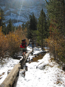 Crossing the wide creek with a log bridge