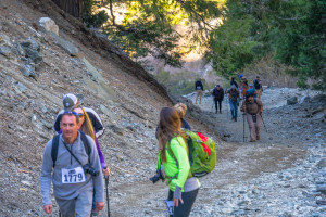 Looking back down the road as teams make their way up the leg burner hill in the beginning of the hike.