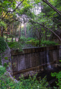 Check Dam in the Santa Anita Canyon and along the Gabrielino Trail.