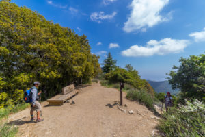 Manzanita Ridge / Winter Creek Trail Junction. Take the trail on the left side to continue back to Chantry Flats. The lady on the right is coming up the Mt Wilson / Sierra Madre Trail.