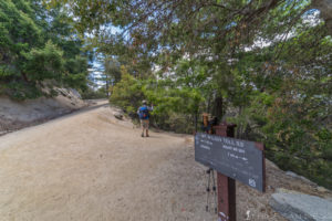 The trail splitting off of the old toll road on the way down from Mt Wilson.