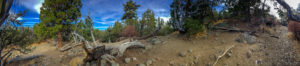 Connecting up with the Pacific Crest Trail from Cougar Crest Trail.