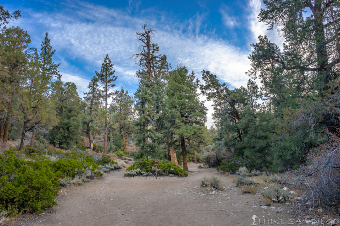 Cougar Crest Trail to Bertha Peak - I Hike San Diego