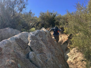 Making our way up the thin trail to Gaskill Peak