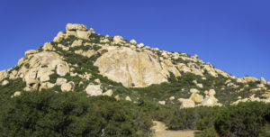 Looking up the trail before the bushwhacking adventure starts